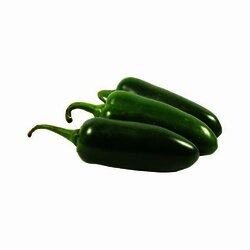 CHILE JALAPEÑO