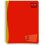 LIBRETA PROFESIONAL SCRIBE 1 RAYA 100 HOJAS