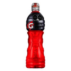 GATORADE 1 LITRO PONCHE