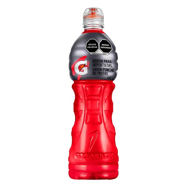GATORADE 1 LITRO PONCHE