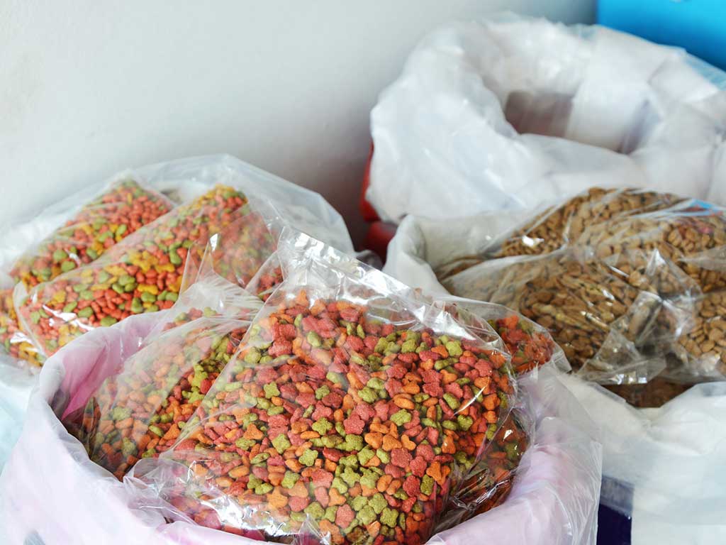 Alimento para mascotas: ¿por qué no debe faltar en tu negocio?